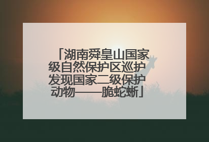 湖南舜皇山国家级自然保护区巡护发现国家二级保护动物——脆蛇蜥
